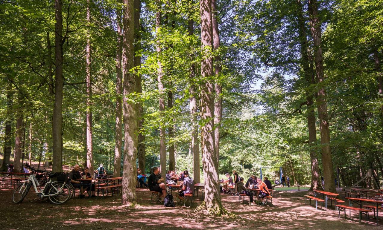Brauereigasthof Zum Loewenbraeu Adelsdorf Luaran gambar